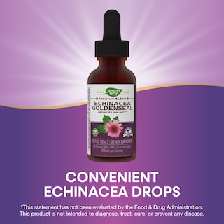 Foto 3 | Foto 3 | Suplemento De Equinácea Y Sello Dorado De Nature's Way 250 Mg 30 Ml - Venta Internacional.