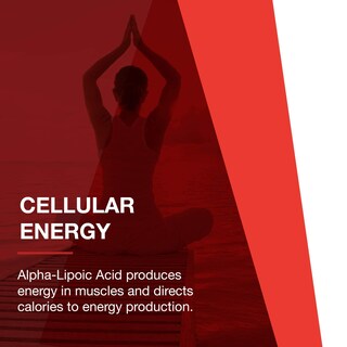 Foto 4 | Foto 4 | Suplemento Protocol De Ácido Alfa Lipoico 600 Mg Con Extracto De Semilla De Uva 60 Cápsulas - Venta Internacional.