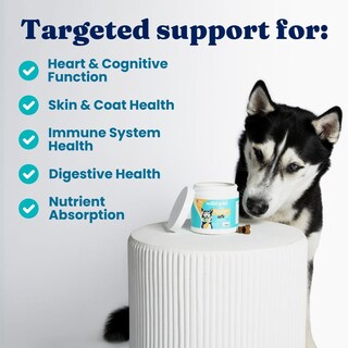 Foto 3 | Foto 3 | Multivitamínico Para Perros Solid Gold Soft Chew Con Probióticos 120 Unidades - Venta Internacional.