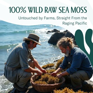 Foto 4 | Foto 4 | Sea Moss Trueseamoss Gel De Musgo Marino Irlandés Crudo 100 Ml Paquete De 8 Onzas - Venta Internacional.
