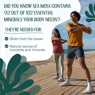 Foto 6 | Foto 6 | Sea Moss Trueseamoss Gel De Musgo Marino Irlandés Crudo 100 Ml Paquete De 8 Onzas - Venta Internacional.