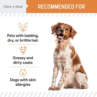 Foto 4 | Foto 4 | Suplemento Chew + Heal Omega 3 De Aceite De Pescado 180 Cápsulas Blandas Para Perros - Venta Internacional.