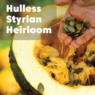 Foto 3 | Foto 3 | Semillas De Calabaza Wilderness Poets Oregon Organic Heirloom 250 Ml - Venta Internacional.