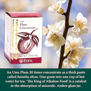 Foto 5 | Foto 5 | Concentrado De Ciruela Eden Ume Bainiku Ekisu 40 Ml - Venta Internacional.