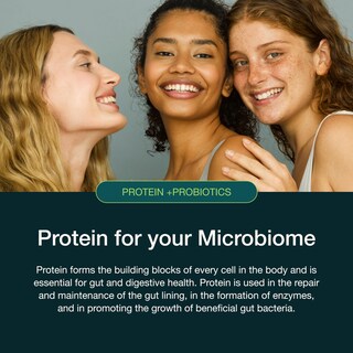 Foto 4 | Foto 4 | Proteína En Polvo Nuzest Protein + Probiotics 300 G De Vainilla Francesa - Venta Internacional.