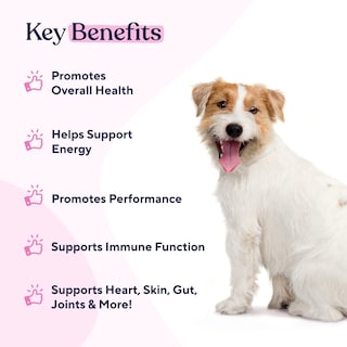 Foto 2 | Foto 2 | Multivitamínico Para Perros Pawfy 15 En 1 Para Piel Y Pelo 30 Masticables - Venta Internacional.