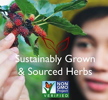 Foto 4 | Foto 4 | Té De Hierbas Bravo Tea Chaga Sin Cafeína 20 Bolsas - Venta Internacional.