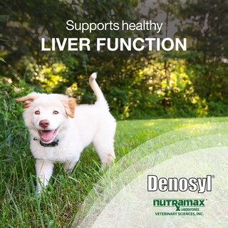 Foto 2 | Foto 2 | Suplemento Nutramax Denosyl Para La Salud Del Hígado Y El Cerebro Para Perros - Venta Internacional.