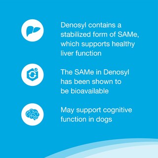 Foto 3 | Foto 3 | Suplemento Nutramax Denosyl Para La Salud Del Hígado Y El Cerebro Para Perros - Venta Internacional.