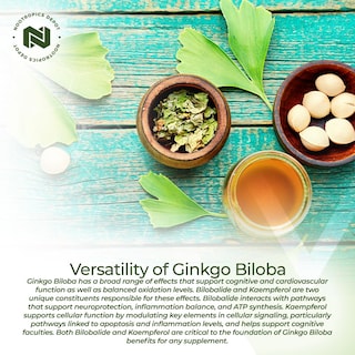 Foto 4 | Foto 4 | Suplemento Nootropics Depot De Extracto De Ginkgo Biloba 120 Mg 90 Comprimidos - Venta Internacional.