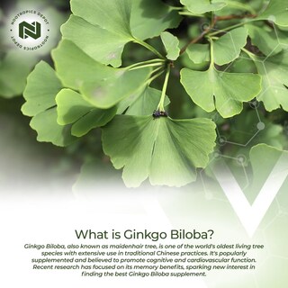 Foto 5 | Foto 5 | Suplemento Nootropics Depot De Extracto De Ginkgo Biloba 120 Mg 90 Comprimidos - Venta Internacional.