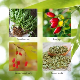 Foto 5 | Foto 5 | Suplemento Nature's Sunshine Liv-j 100 Cápsulas - Venta Internacional.