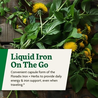 Foto 7 | Foto 7 | Suplemento De Hierro Floradix Iron + Herbs 120 Fitocápsulas Líquidas - Venta Internacional.