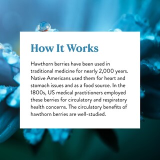 Foto 6 | Foto 6 | Suplemento Nature's Sunshine Hawthorn Berries 100 Cápsulas - Venta Internacional.