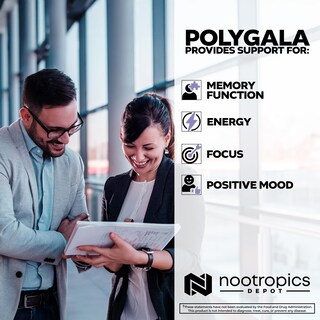 Foto 4 | Foto 4 | Suplemento Nootropics Depot Polygala Tenuifolia 20:1 Con Extracto - Venta Internacional.