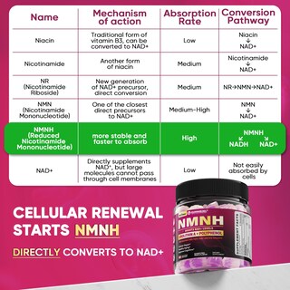 Foto 3 | Foto 3 | Suplemento De Gomitas Nextdia Nmnh De 300 Mg Con Urolitina A 60 Unidades - Venta Internacional.
