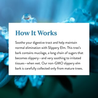 Foto 6 | Foto 6 | Suplemento Nature's Sunshine Slippery Elm 100 Cápsulas - Venta Internacional.