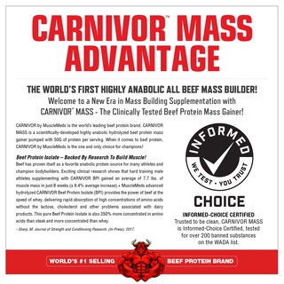 Foto 3 | Foto 3 | Mass Gainer Shake Musclemeds Carnivor Chocolate Fudge De 2 27 Kg - Venta Internacional.