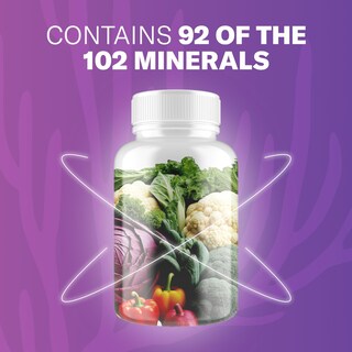 Foto 4 | Foto 4 | Suplemento Trueseamoss Irish Sea Moss Con 120 Cápsulas De Saúco - Venta Internacional.