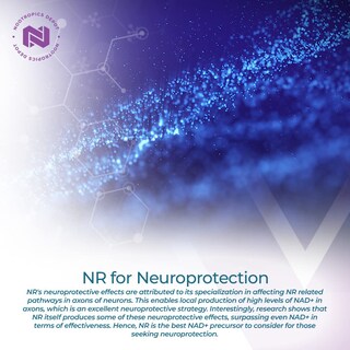 Foto 3 | Foto 3 | Suplemento De Ribósido De Nicotinamida De Nootropics Depot 300 Mg X 30 - Venta Internacional.
