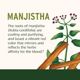 Foto 4 | Foto 4 | Suplemento Banyan Botanicals Manjistha Tablets 90 Tabletas - Venta Internacional.