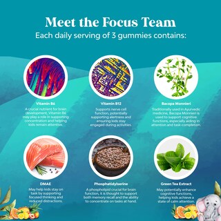 Foto 6 | Foto 6 | Gomitas Supplement Natures Craft Kids Focus  90 Unidades - Venta Internacional.