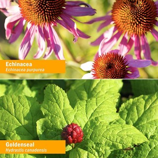 Foto 3 | Foto 3 | Tintura Herb Pharm Organic Rapid Immune Boost 60 Ml Para Adultos - Venta Internacional.