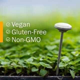 Foto 7 | Foto 7 | Tintura Herb Pharm Organic Rapid Immune Boost 60 Ml Para Adultos - Venta Internacional.