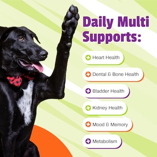 Foto 4 | Foto 4 | Venta Internacional - Multivitamínico Diario Supplement Pet Naturals 150 Masticables Para Perros