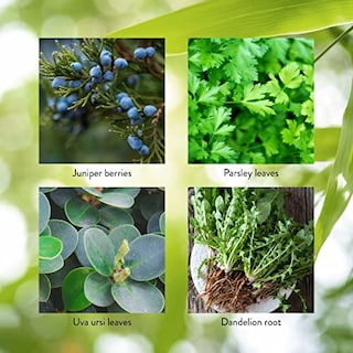 Foto 5 | Foto 5 | Suplemento Nature's Sunshine Kidney Activator 100 Cápsulas - Venta Internacional.