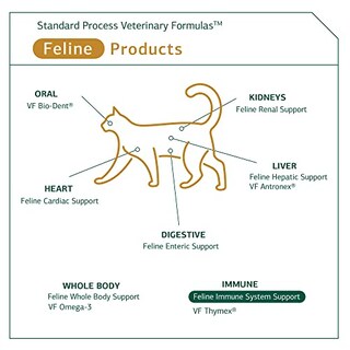 Foto 5 | Foto 5 | Suplemento Standard Process Feline Immune System 90 Comprimidos - Venta Internacional.