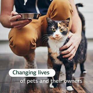 Foto 6 | Foto 6 | Suplemento Standard Process Feline Immune System 90 Comprimidos - Venta Internacional.