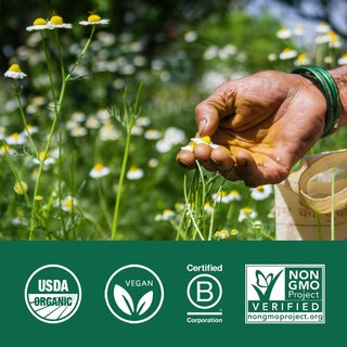 Foto 6 | Foto 6 | Suplemento Organic India Tulsi Herbal Holy Basil Vegan - Venta Internacional.