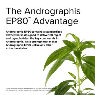 Foto 6 | Foto 6 | Suplemento Terry Naturally Andrographis Ep80 Extra Strength - Venta Internacional.