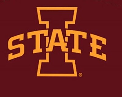 Foto 2 | Foto 2 | Mascarilla Facial Champion Iowa State Cyclones Youth, Tela De 1 Capa - Venta Internacional.