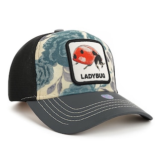 Foto 1 | Foto 1 | Gorra Knite Ladybug Cachucha Mujer Visera Tornasol