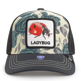 Foto 2 | Foto 2 | Gorra Knite Ladybug Cachucha Mujer Visera Tornasol