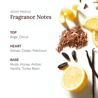 Foto 4 | Foto 4 | Loción Para Después Del Afeitado Stetson Original De Scent Beauty, 100 Ml, Para Hombre - Venta Internacional.