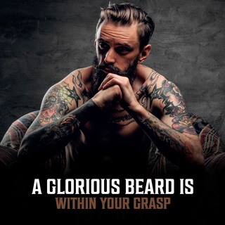 Foto 6 | Foto 6 | Set De Aceites Para Barba Viking Revolution Para Hombre Con 3 Aromas, 30 Ml - Venta Internacional.
