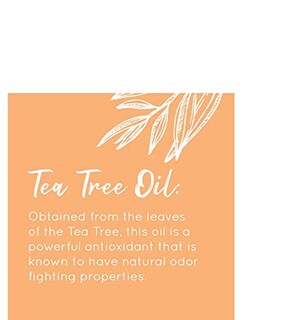 Foto 7 | Foto 7 | Loción Extensora De Bronceado Australian Gold Moisture Lock 480 Ml - Venta Internacional.