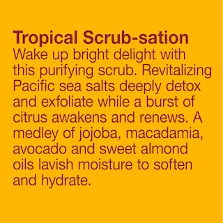 Foto 3 | Foto 3 | Exfoliante Corporal Alba Botanica Hawaiian Revitalizante Con Sal Marina, 430 Ml - Venta Internacional.