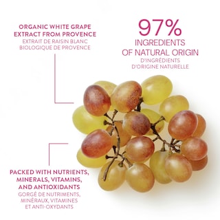 Foto 2 | Foto 2 | Exfoliante Corporal Panier Des Sens Grape, 300 G, Suavizante Para Hombres Y Mujeres - Venta Internacional.