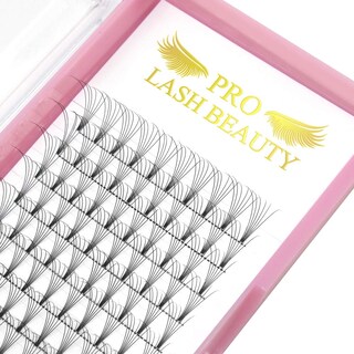 Foto 1 | Foto 1 | Extensiones De Pestañas Con Volumen Prefabricadas Pro Lashbeauty 6d-d-0.07-15 Mm - Venta Internacional.