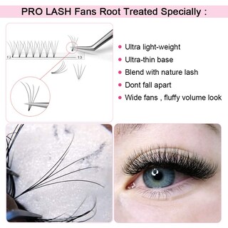 Foto 2 | Foto 2 | Extensiones De Pestañas Con Volumen Prefabricadas Pro Lashbeauty 4d-d-0.07-10 - Venta Internacional.