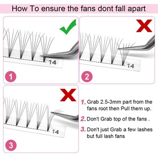 Foto 5 | Foto 5 | Extensiones De Pestañas Premade Fans Pro Lashbeauty 5d-d-0.10-15 Mm - Venta Internacional.