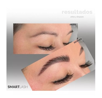 Foto 3 | Foto 3 | Kit Planchado de Ceja SMARTLASH más Lash Lifting más 2 Pigmentos 42 Piezas