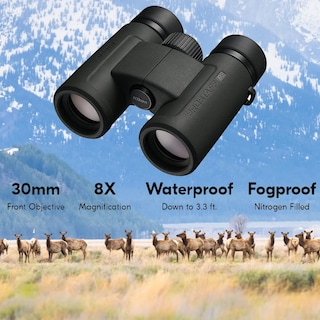 Foto 3 | Foto 3 | Binoculares Nikon Prostaff P3 8x30 (16774) Negros Con Accesorios - Venta Internacional.