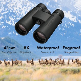 Foto 3 | Foto 3 | Binoculares Nikon Prostaff P3 8x42 (16776) Negros Con Accesorios - Venta Internacional.