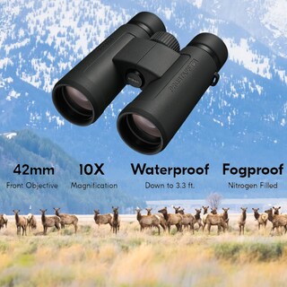 Foto 3 | Foto 3 | Binoculares Nikon Prostaff P3 10x42 Negros Con Lente, Bolígrafo Y Tela - Venta Internacional.