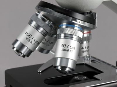 Foto 3 | Foto 3 | Microscopio Compuesto Amscope M600-tk50 40x-1000x Con Escenario 3d - Venta Internacional.
